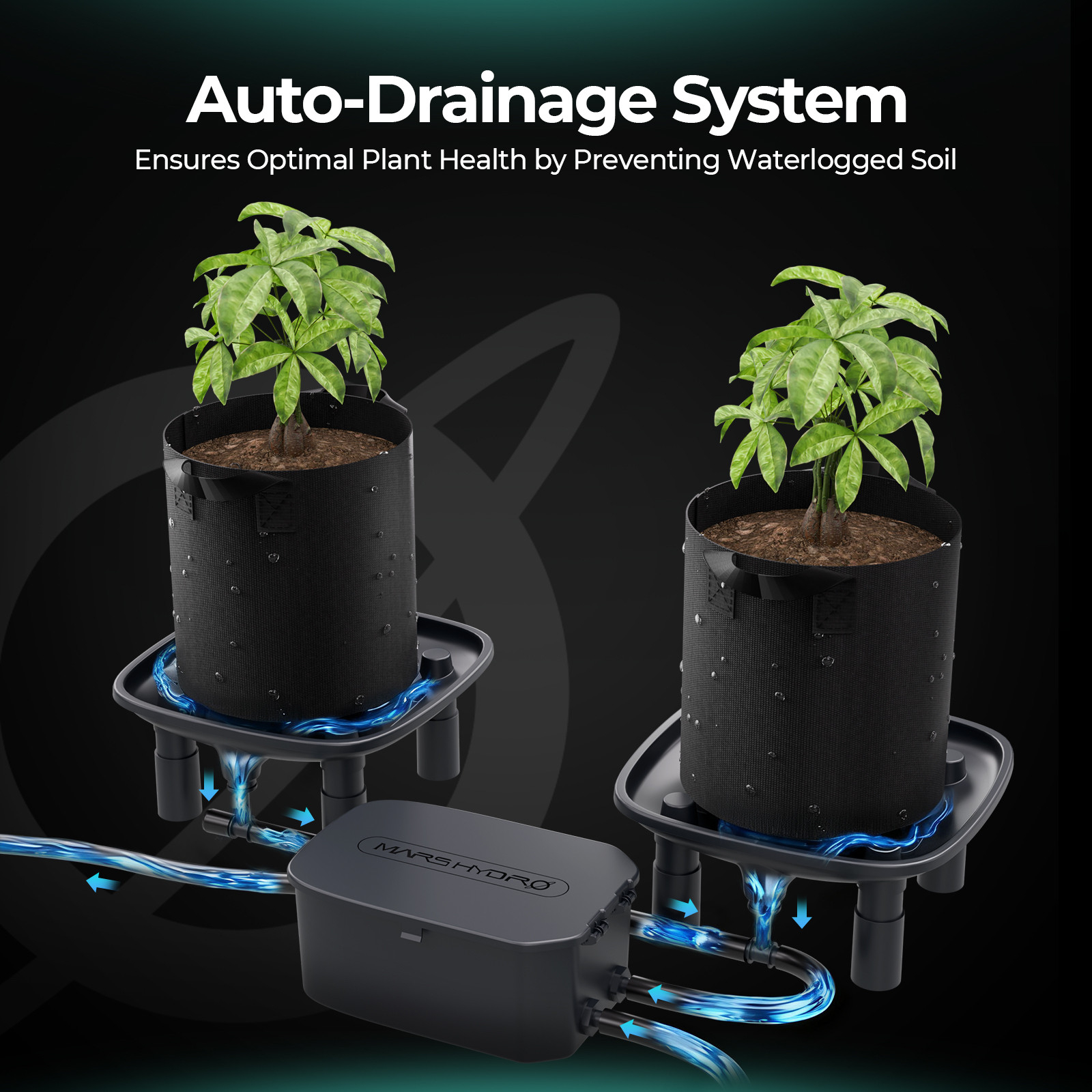 Mars Hydro 4