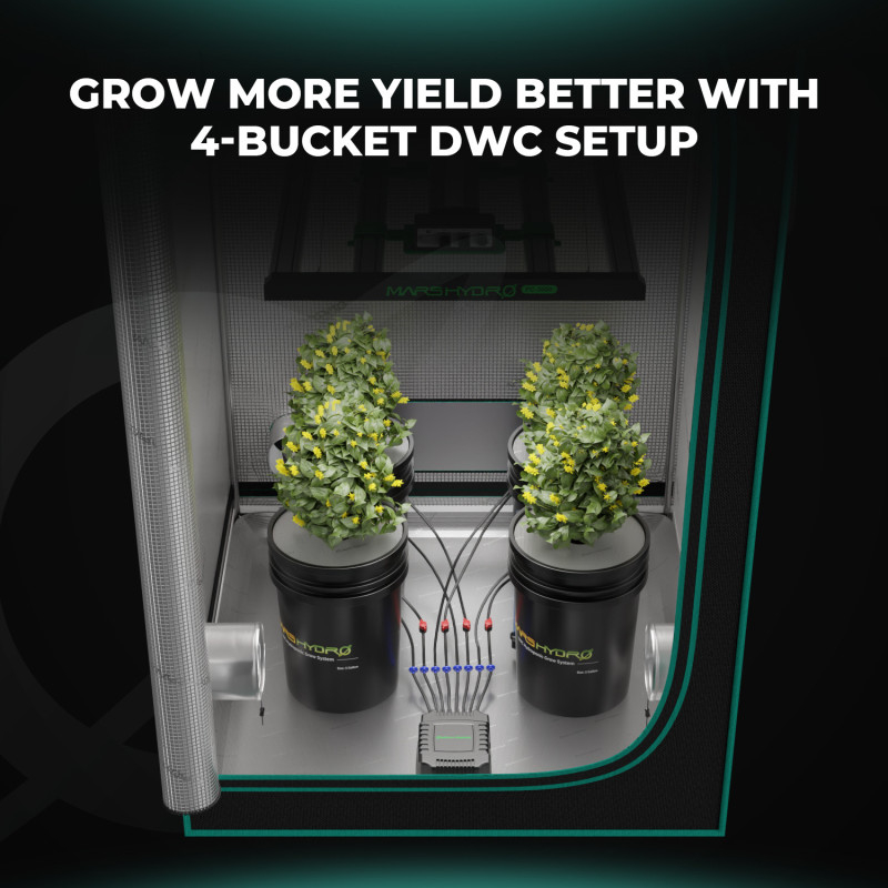 DWC 4