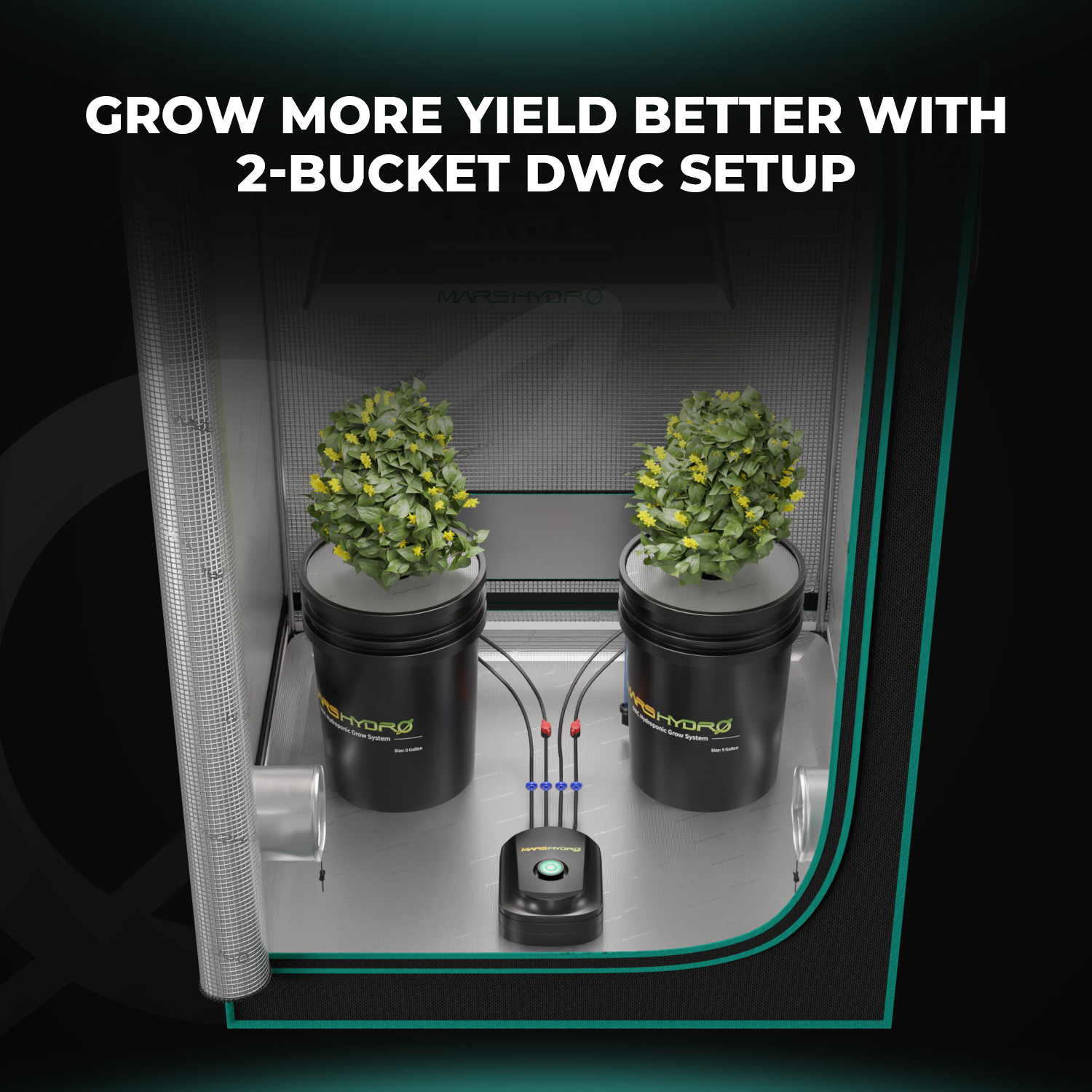 Mars hydro DWC 2